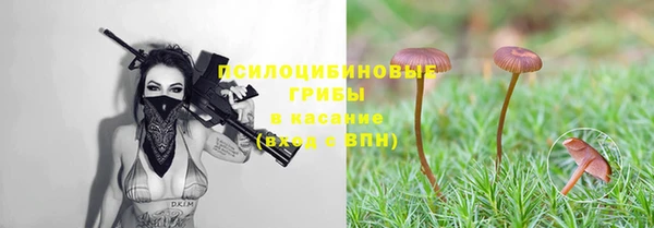 мескалин Алексин