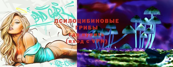 мескалин Алексин