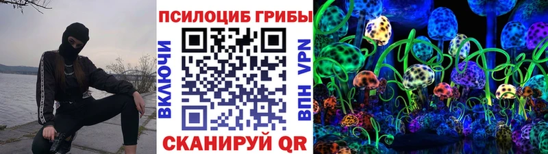 Псилоцибиновые грибы мицелий  купить наркотик  Калининград 