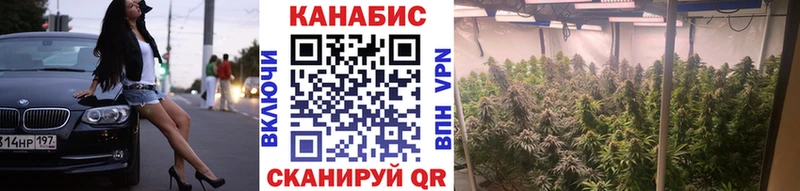 Конопля Bruce Banner  купить наркотик  Калининград 